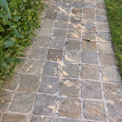 Fossil Buff Tumbled Indian Sandstone Cobbles 100x100x40/60mm